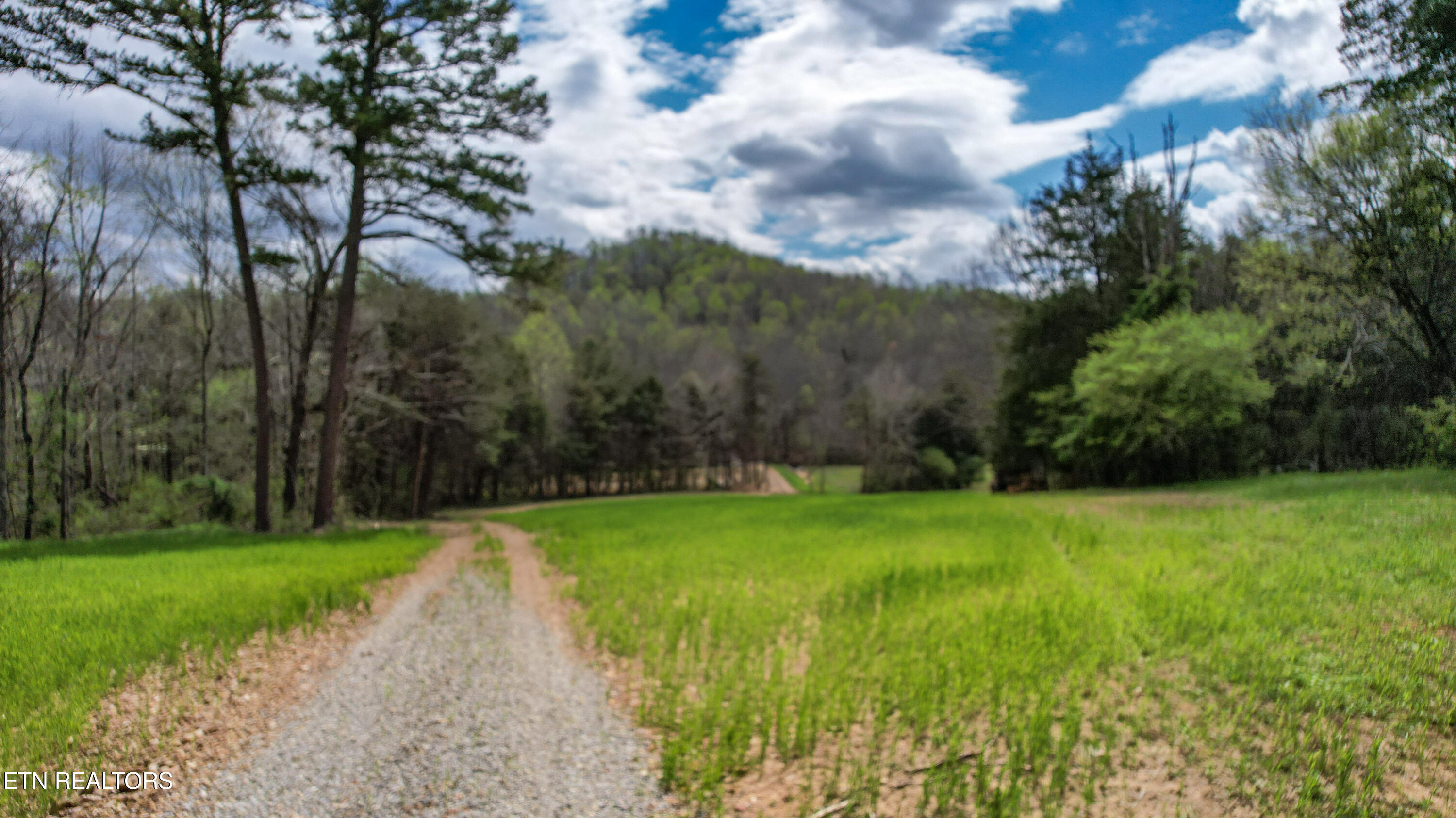 2168 Fairview Road Tellico Plains TN 37385