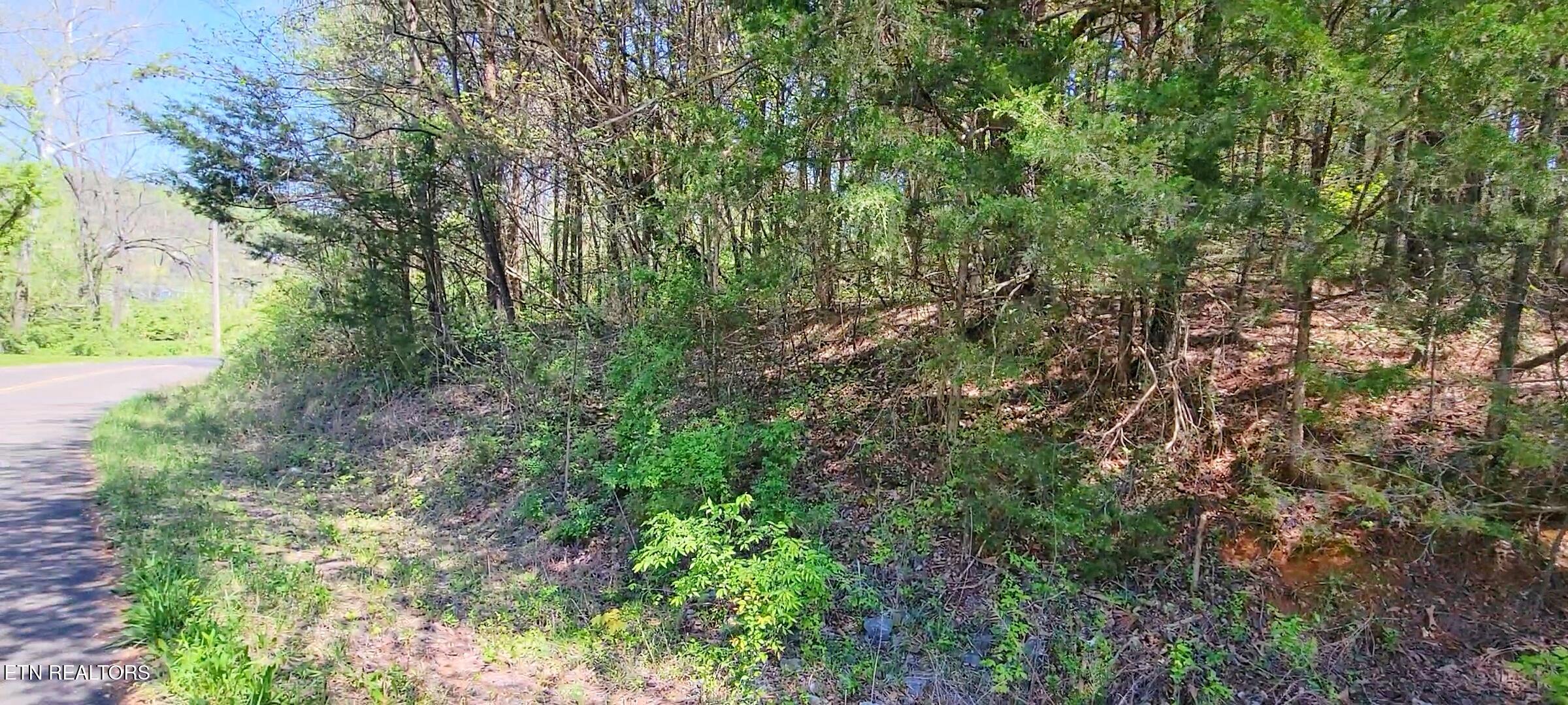 110 West Drive Parrottsville TN 37843