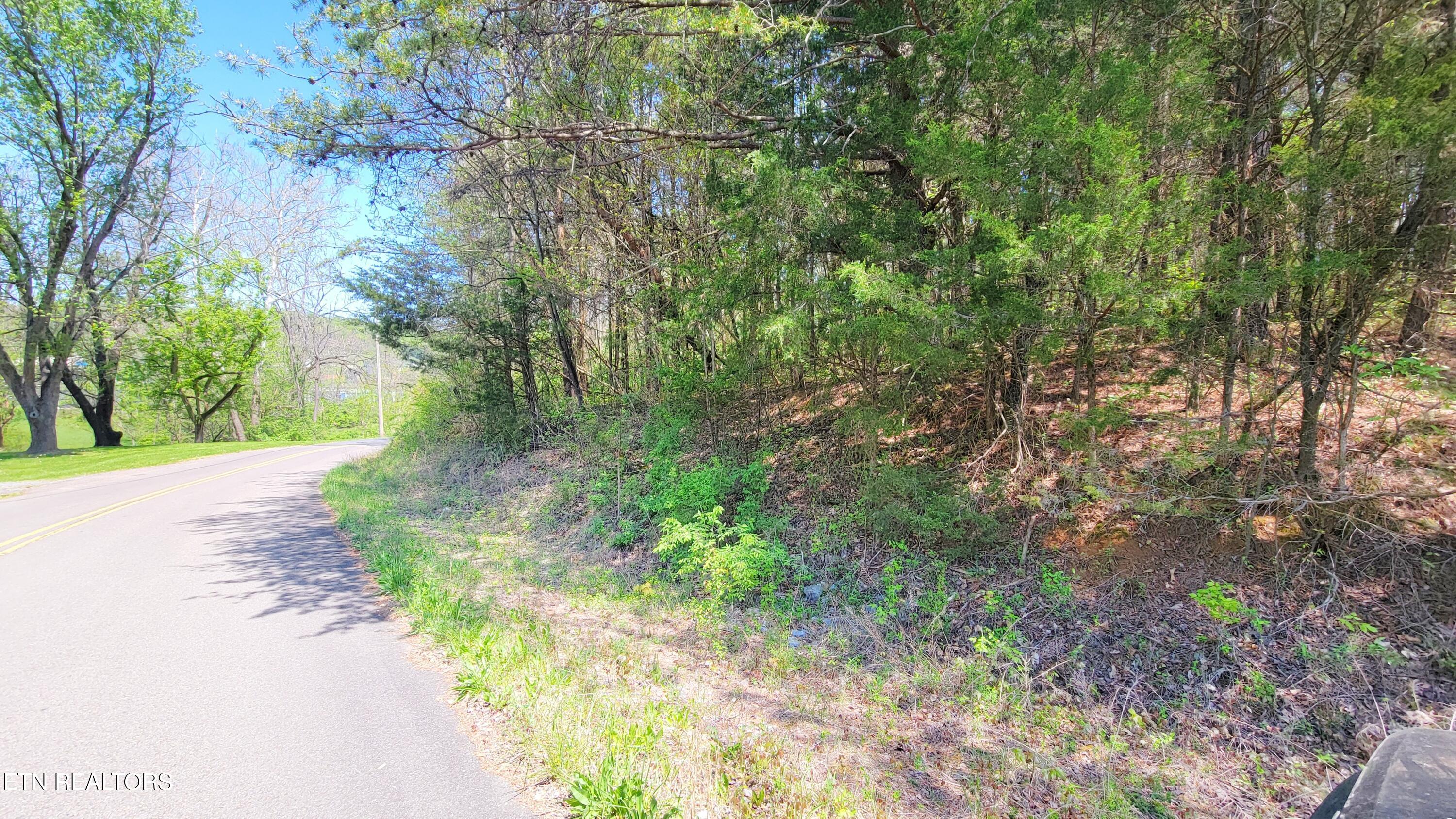 110 West Drive Parrottsville TN 37843
