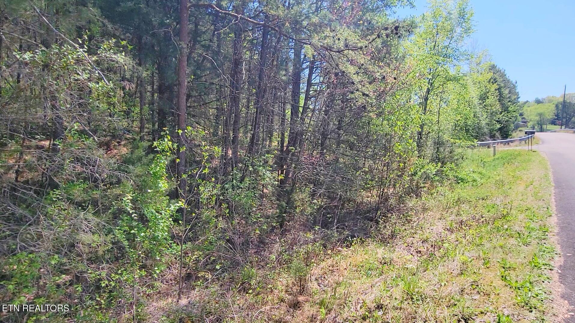110 West Drive Parrottsville TN 37843