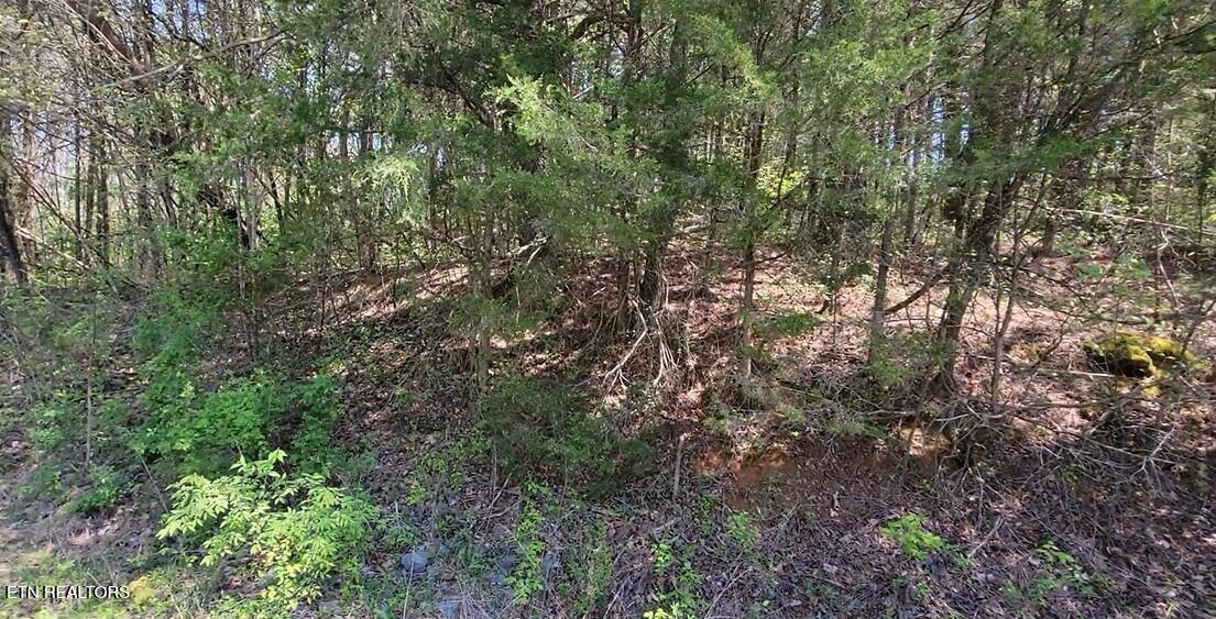 110 West Drive Parrottsville TN 37843