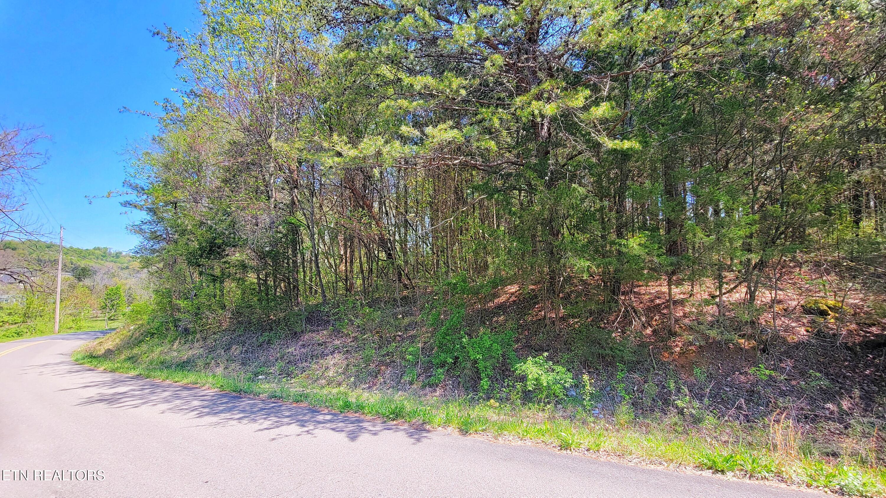 110 West Drive Parrottsville TN 37843