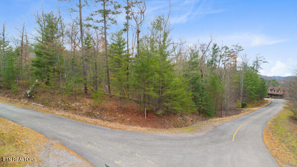 514 Percussion Court Walland TN 37886
