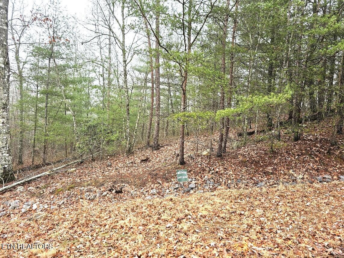 514 Percussion Court Walland TN 37886