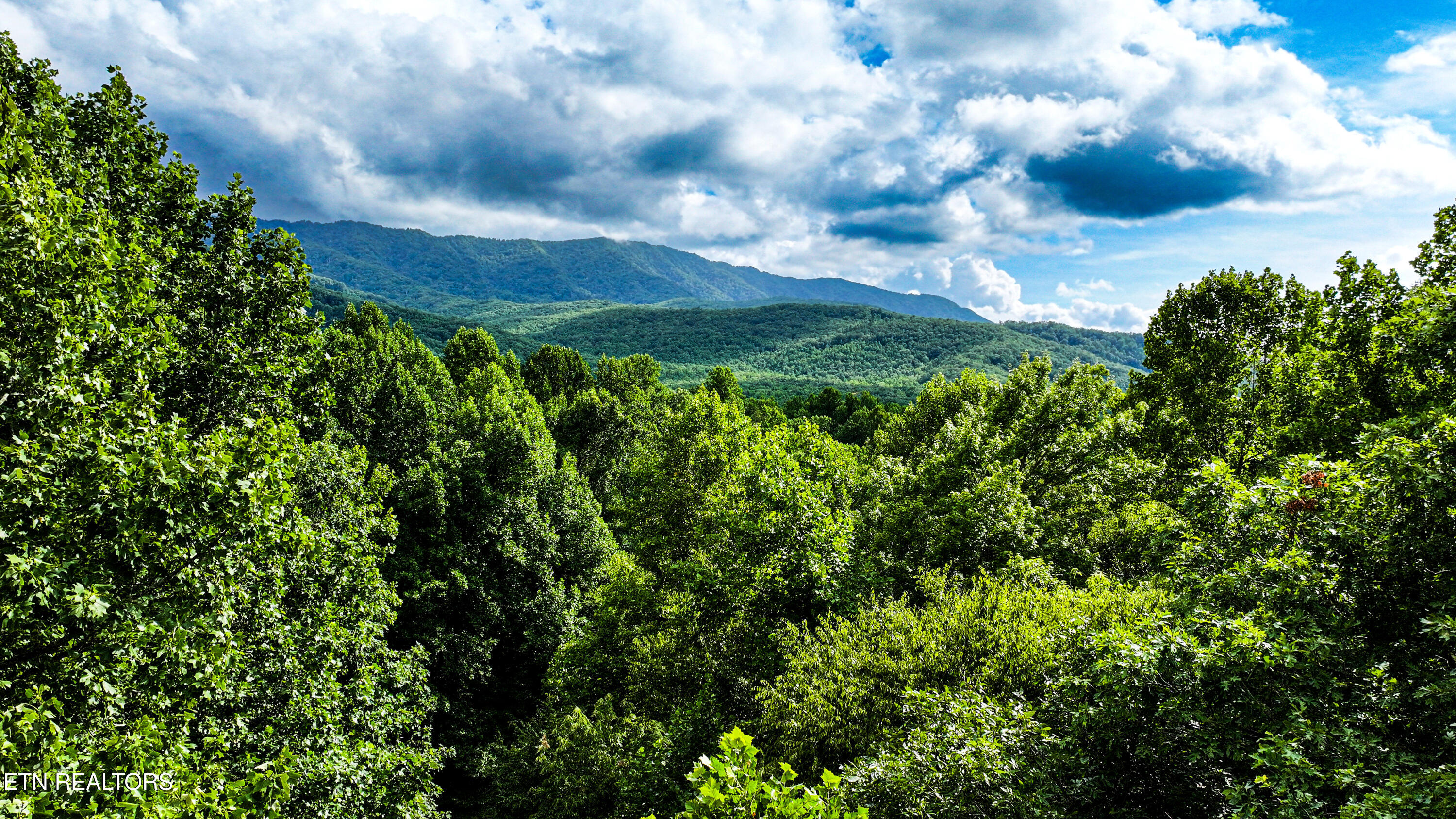 Angie Lane Gatlinburg TN 37738
