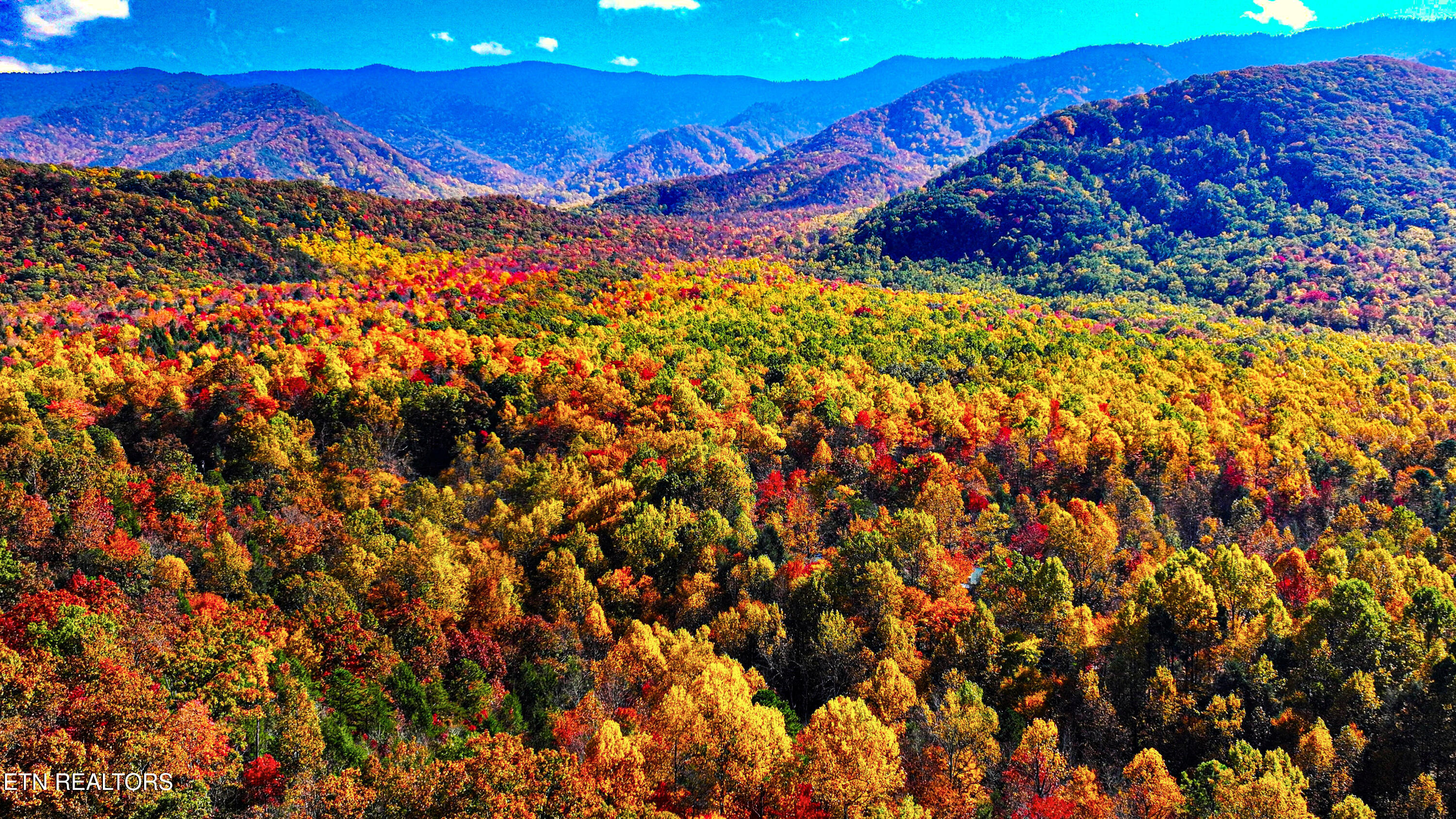 Angie Lane Gatlinburg TN 37738