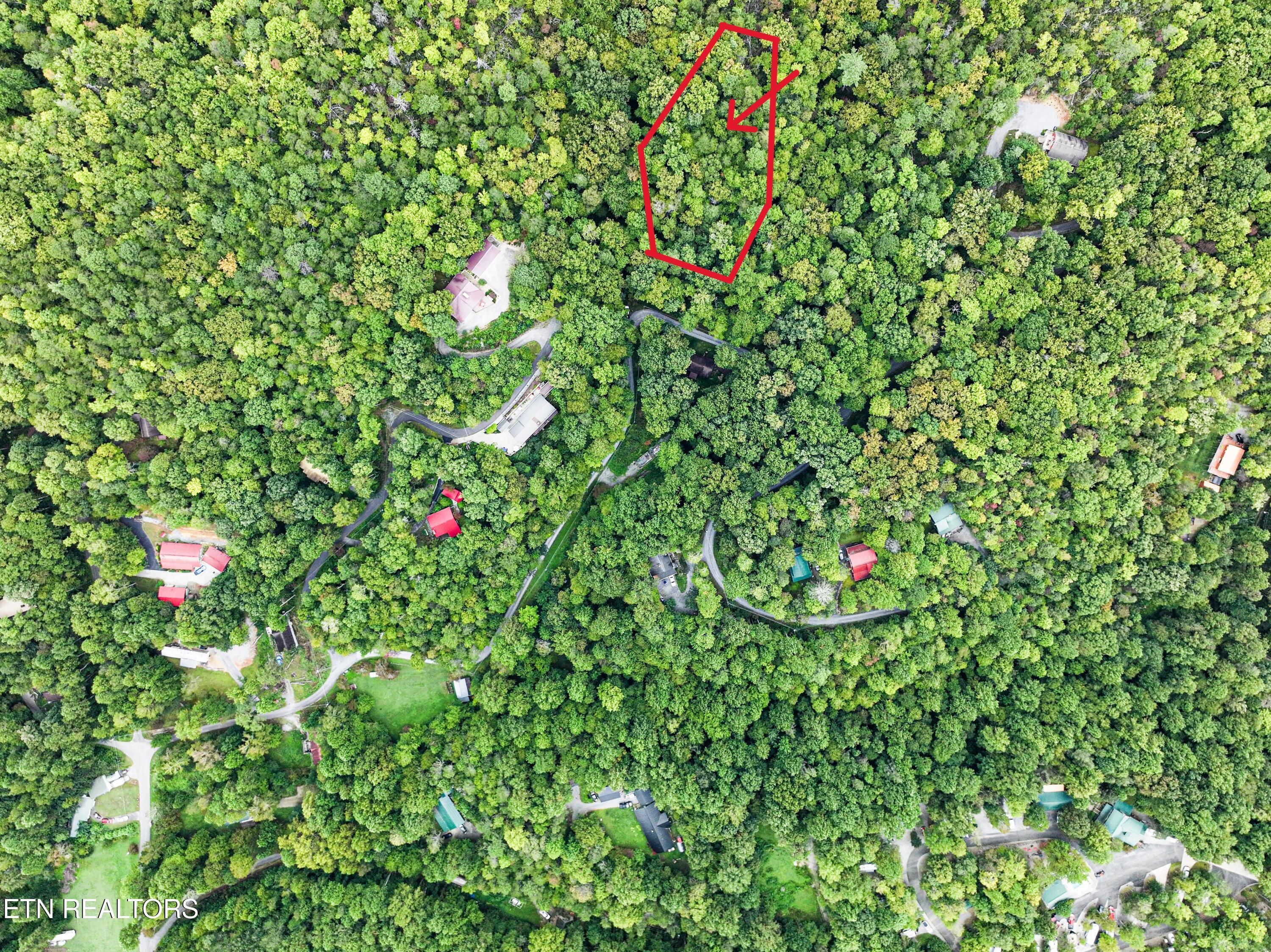 Angie Lane Gatlinburg TN 37738