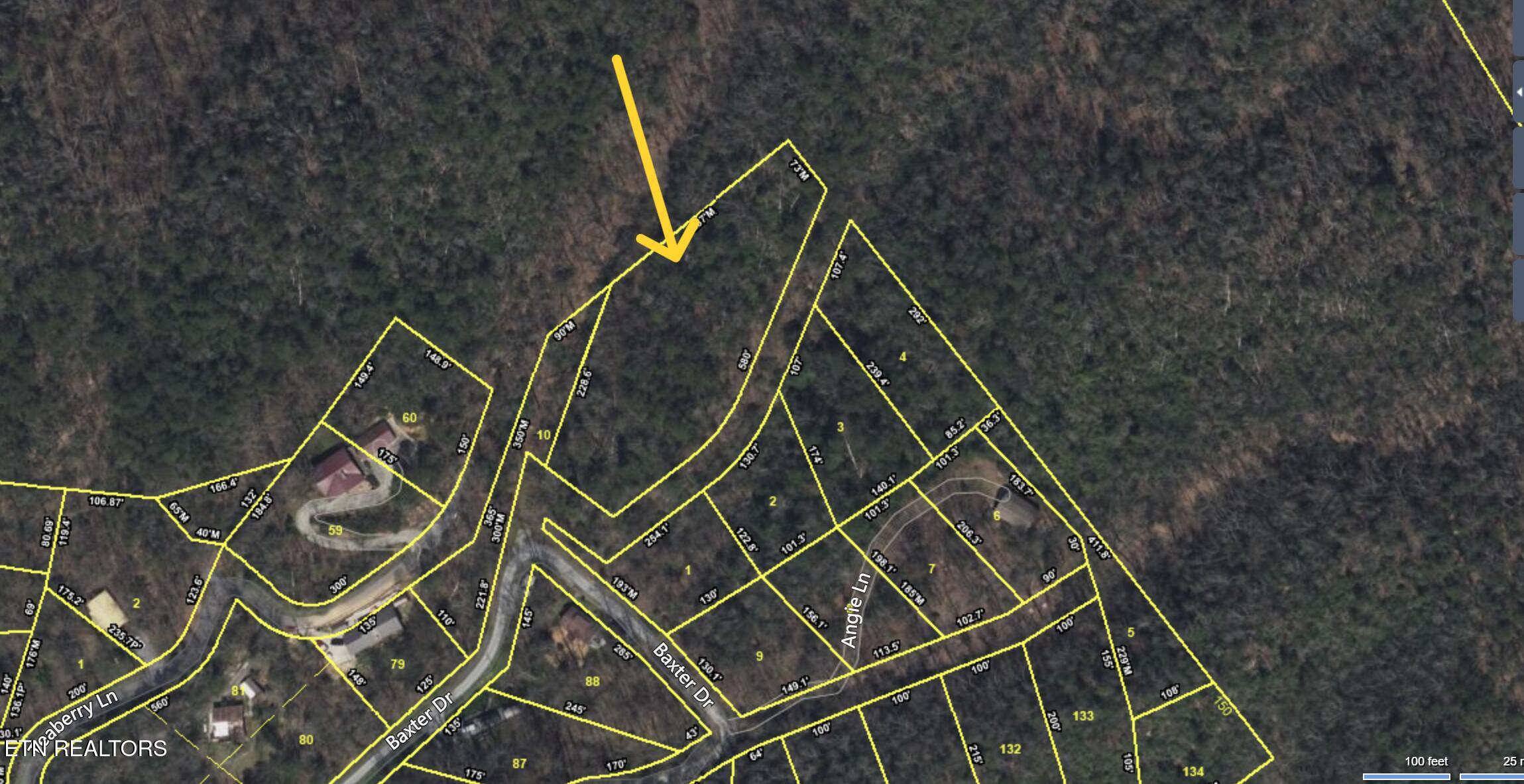Angie Lane Gatlinburg TN 37738