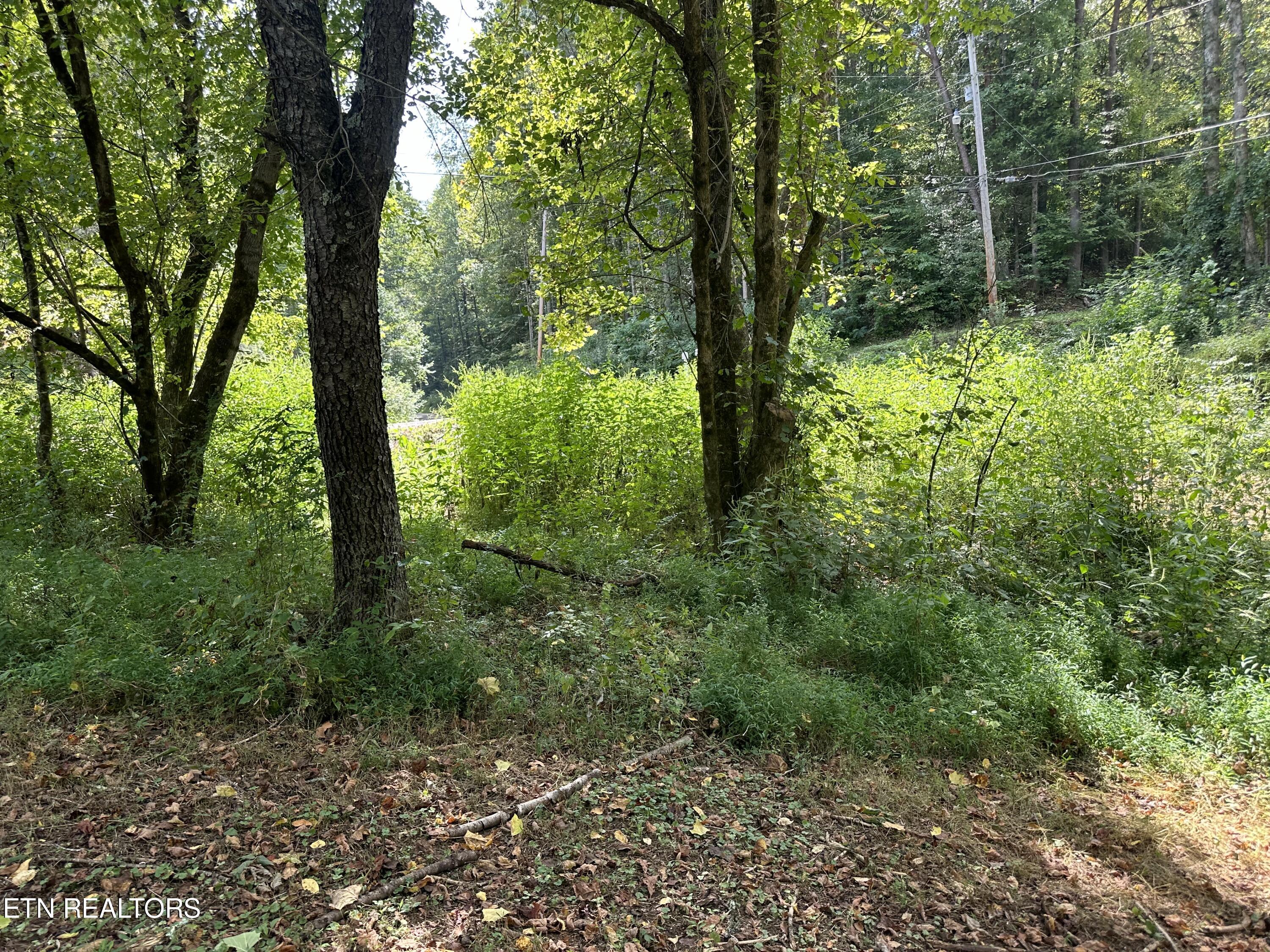 Hendren Lane Clinton TN 37716