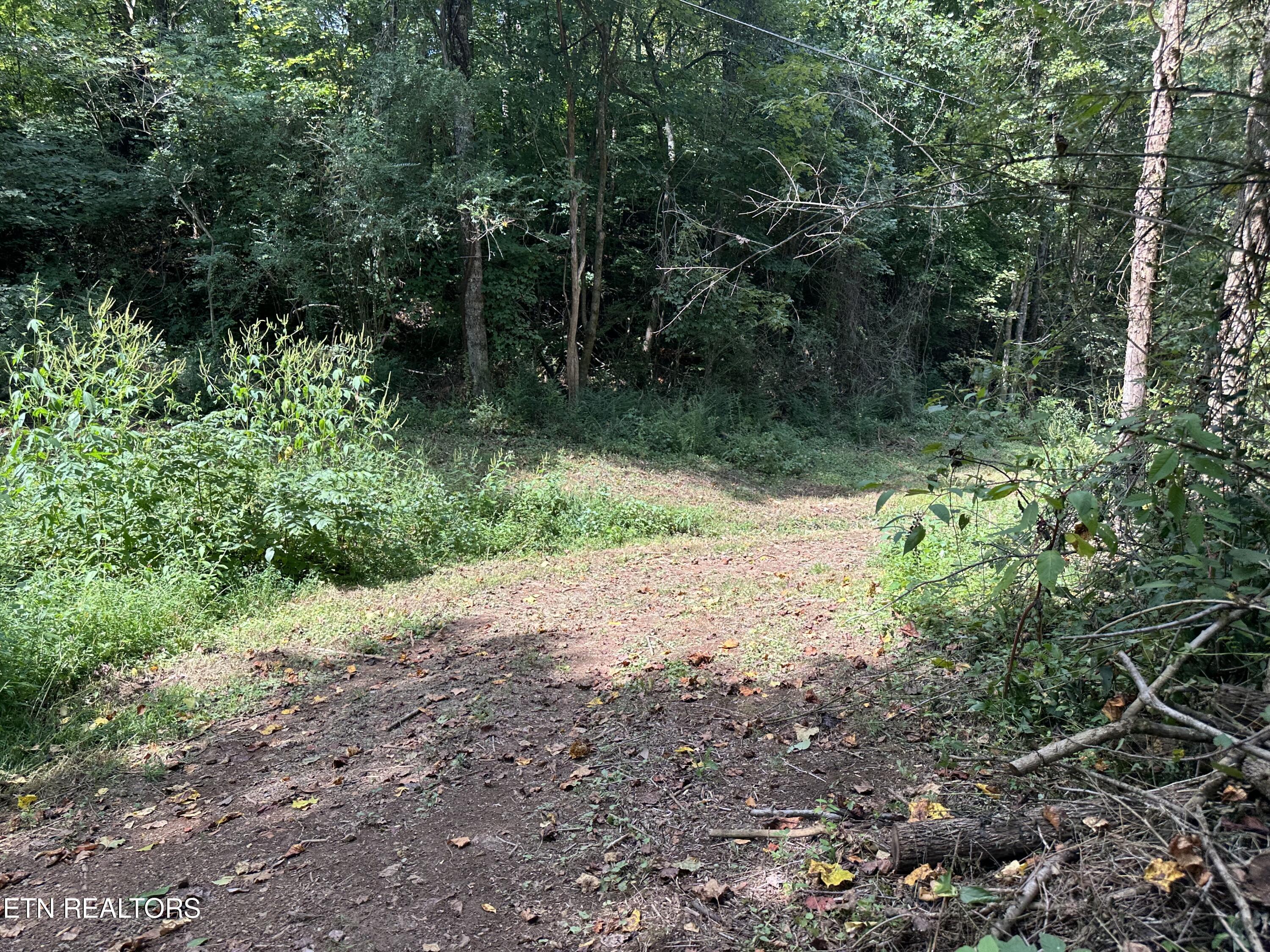 Hendren Lane Clinton TN 37716