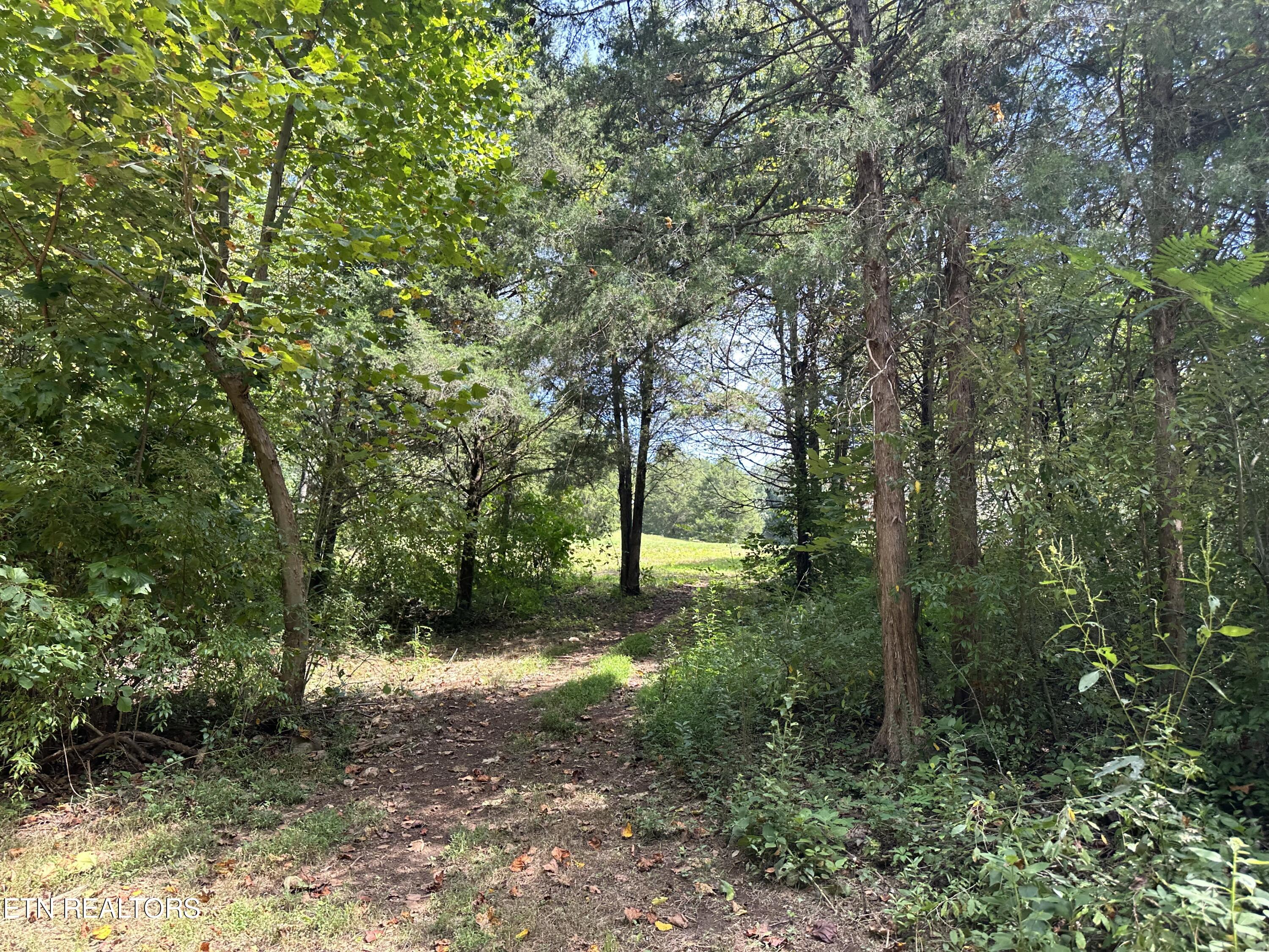 Hendren Lane Clinton TN 37716