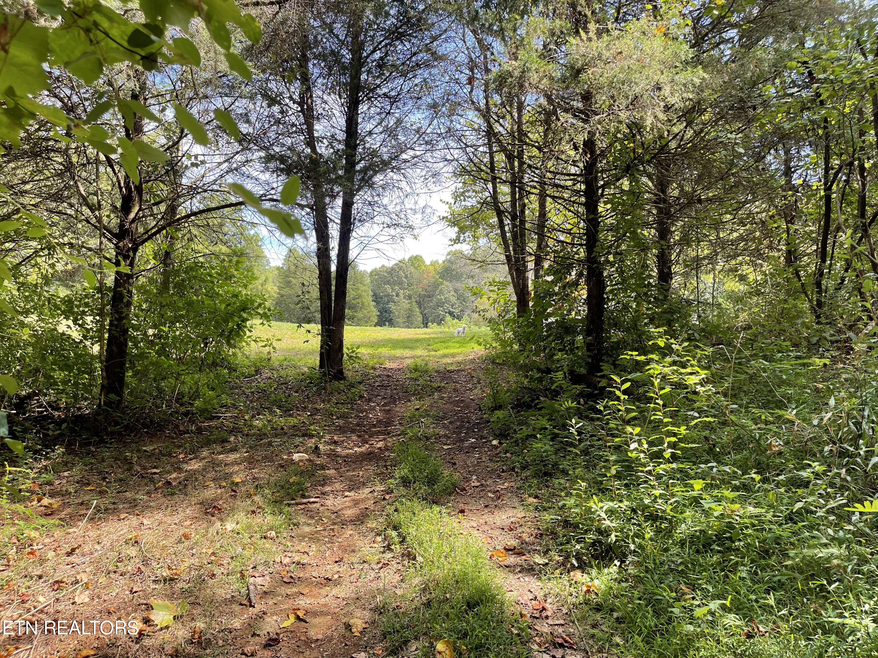 Hendren Lane Clinton TN 37716