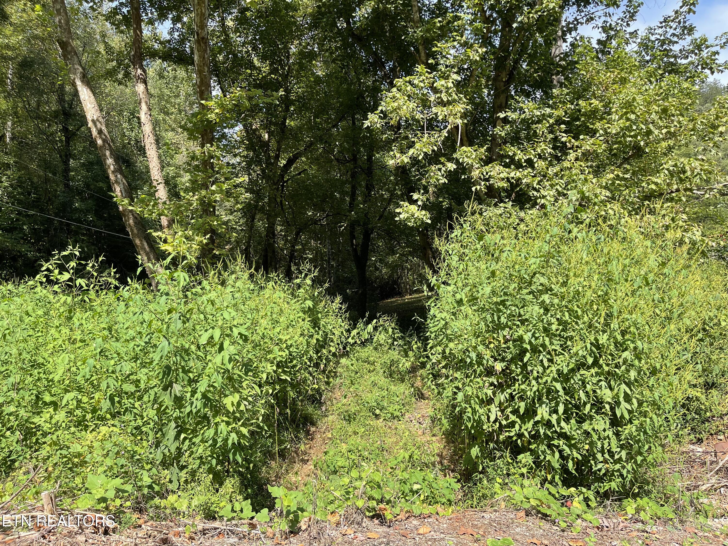 Hendren Lane Clinton TN 37716