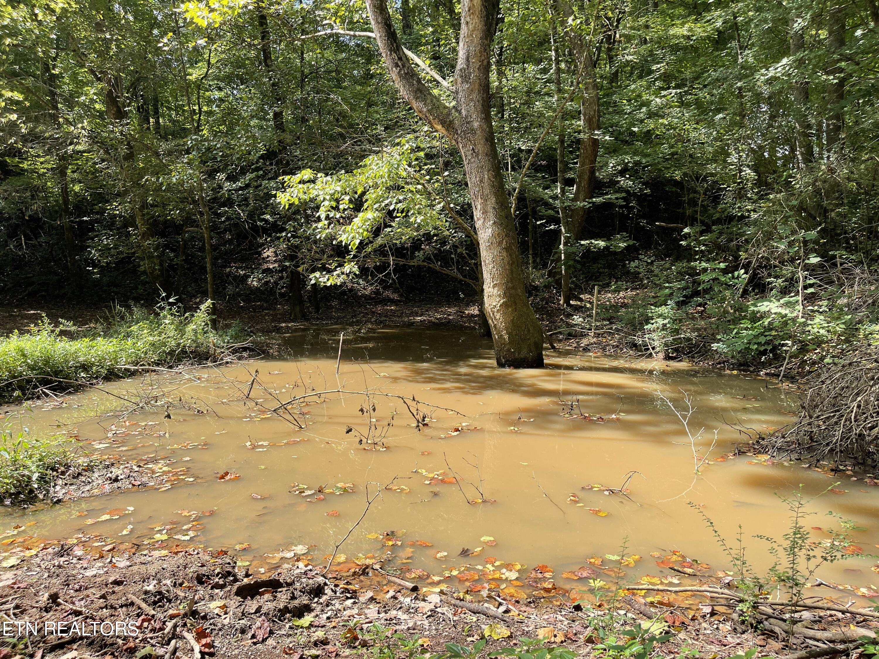 Hendren Lane Clinton TN 37716