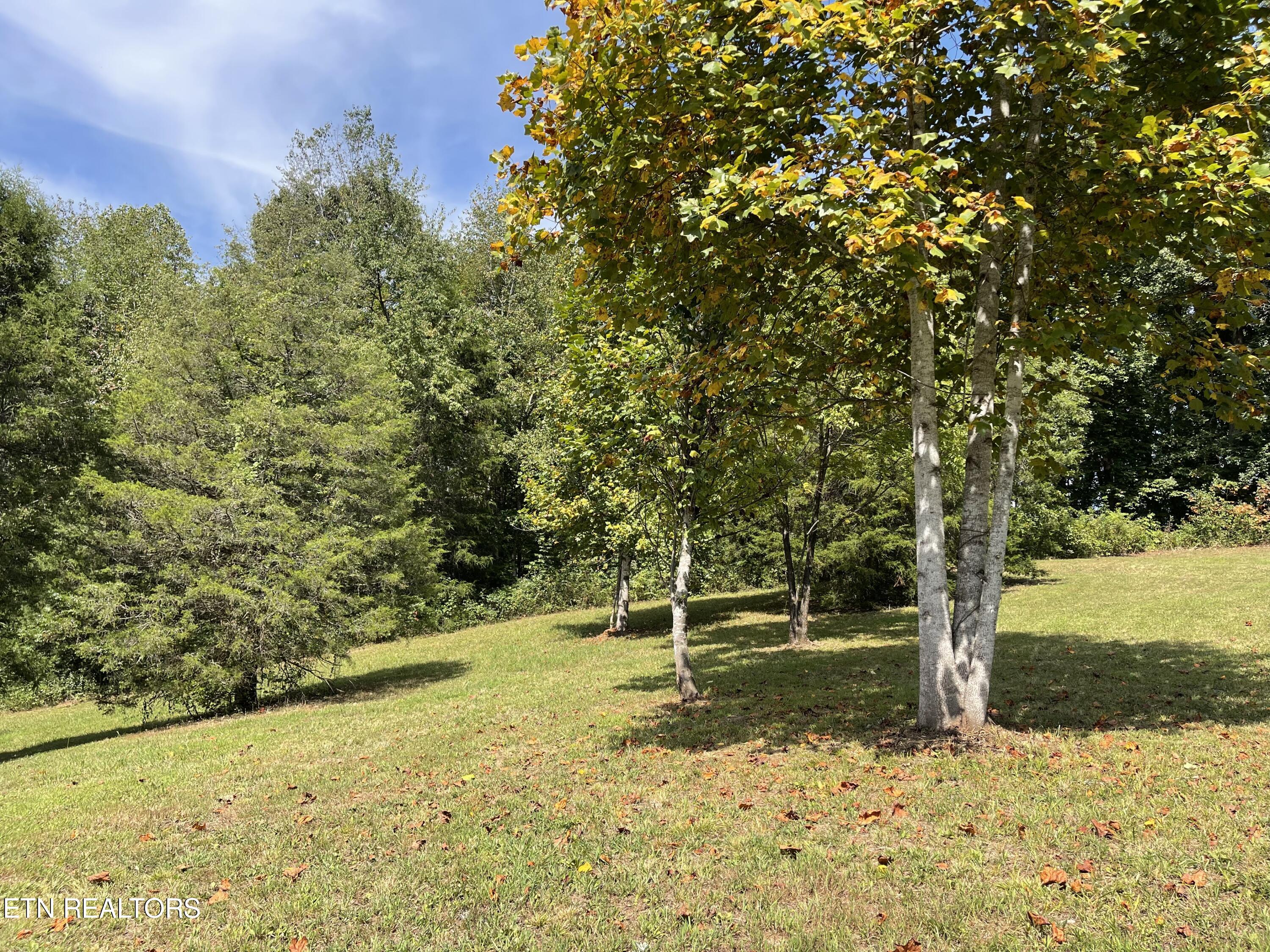 Hendren Lane Clinton TN 37716