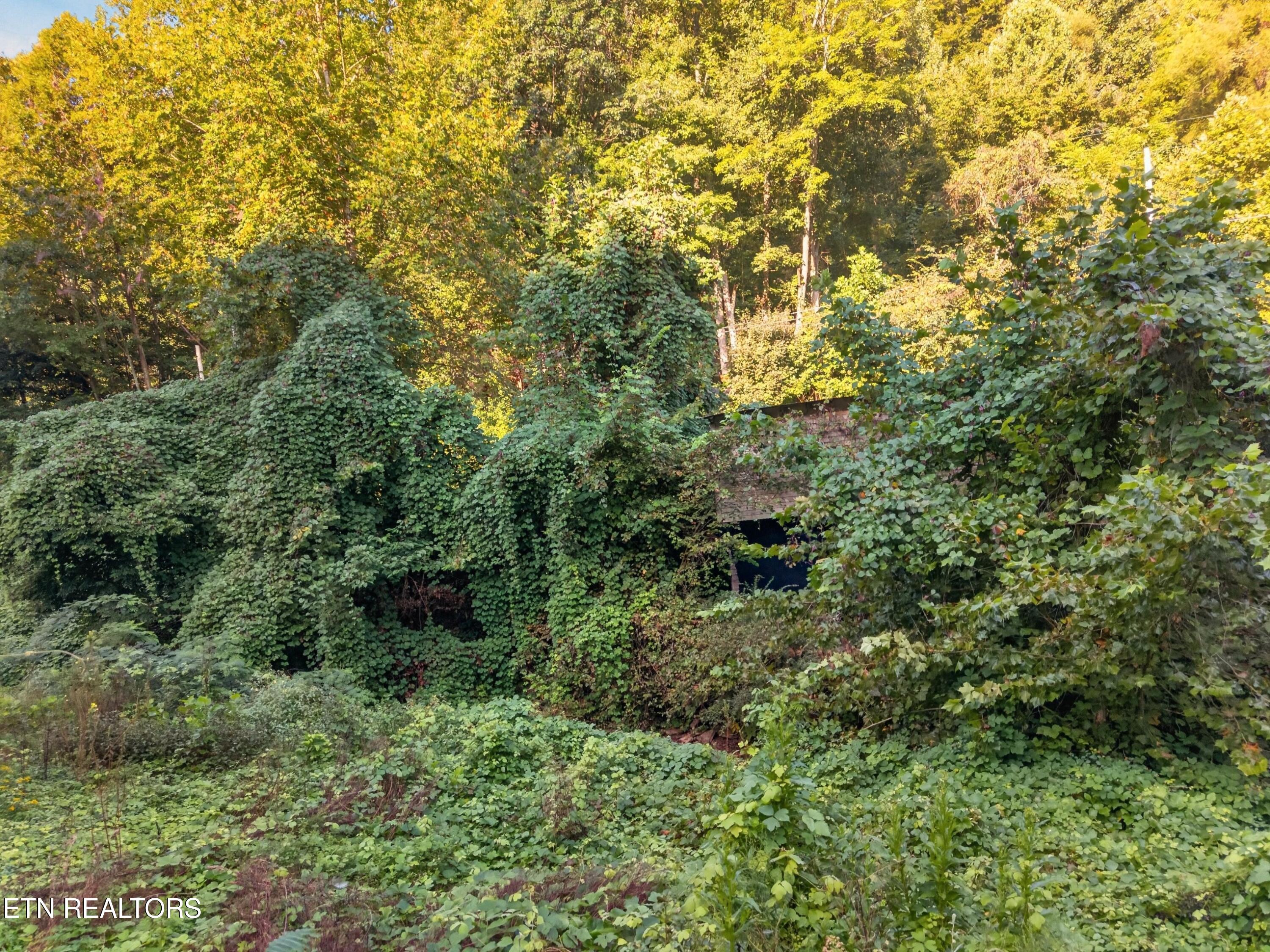 5106 Highway 25w S E Of Lafollette TN 37766