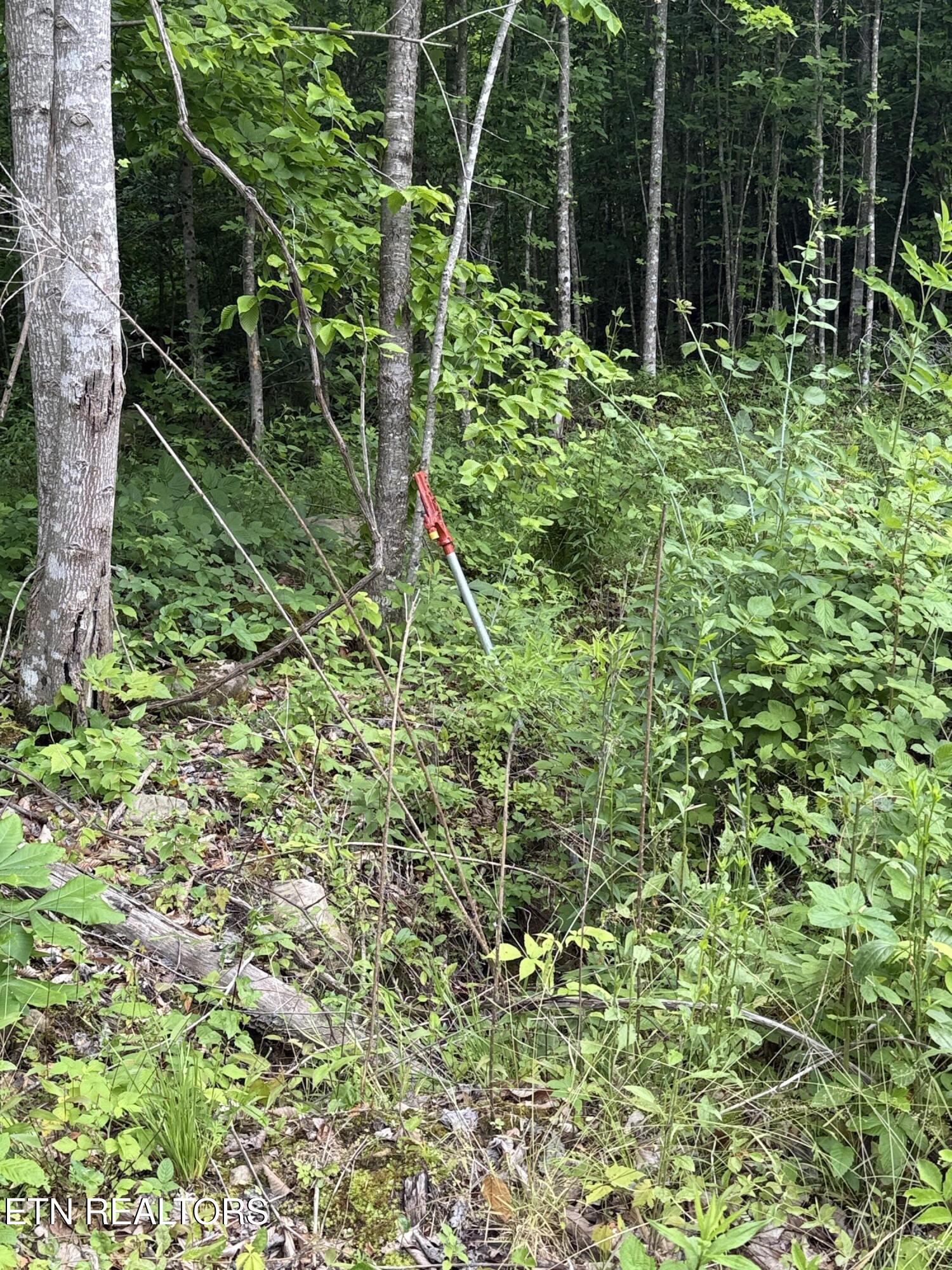 549 Defender Road Lafollette TN 37766