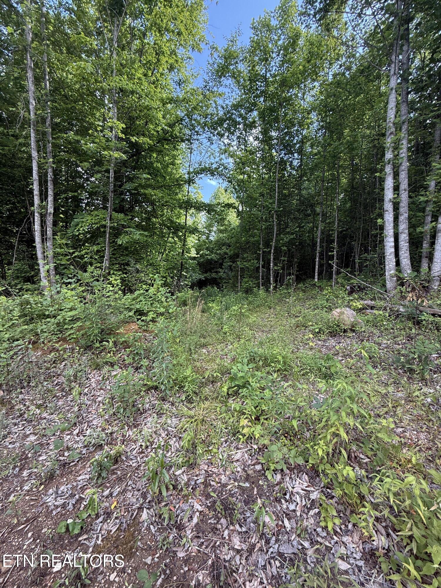 549 Defender Road Lafollette TN 37766