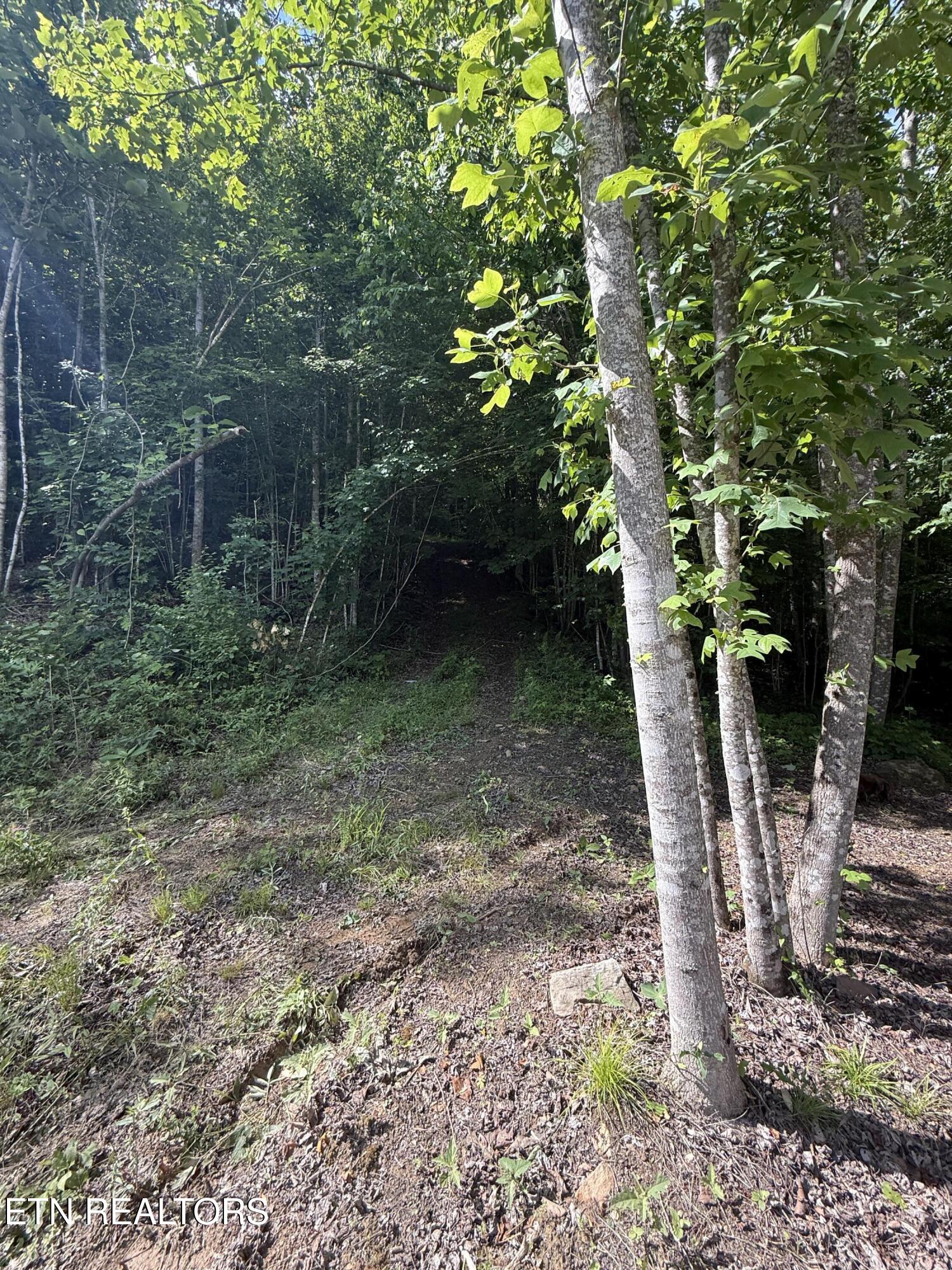 549 Defender Road Lafollette TN 37766