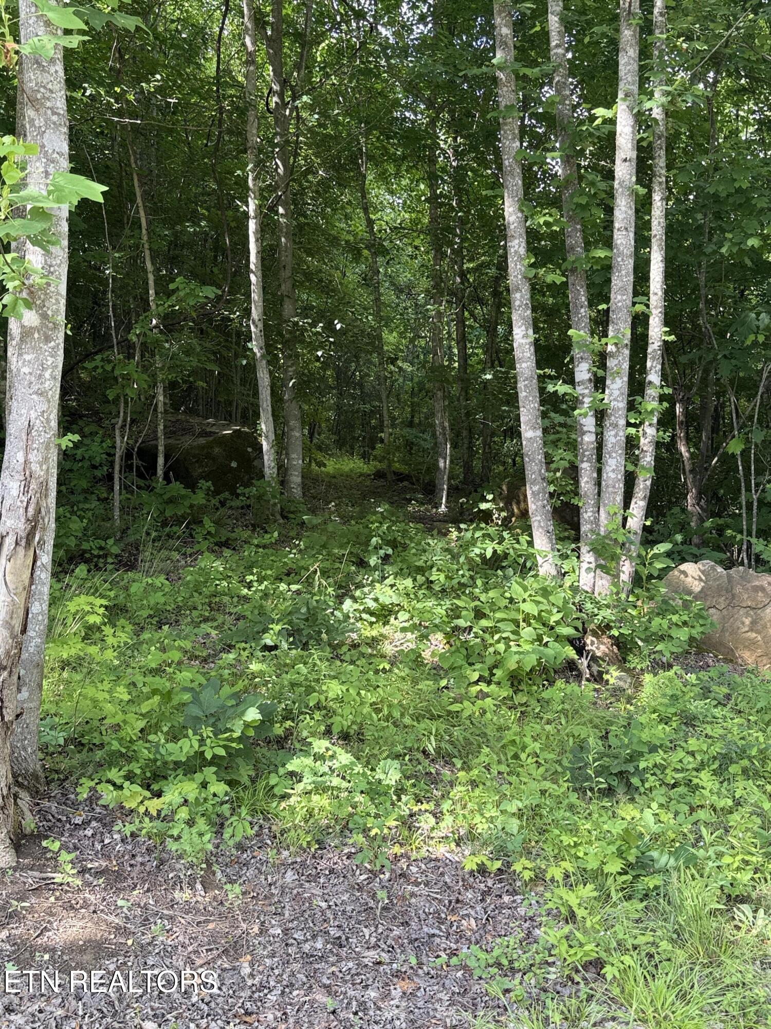 549 Defender Road Lafollette TN 37766