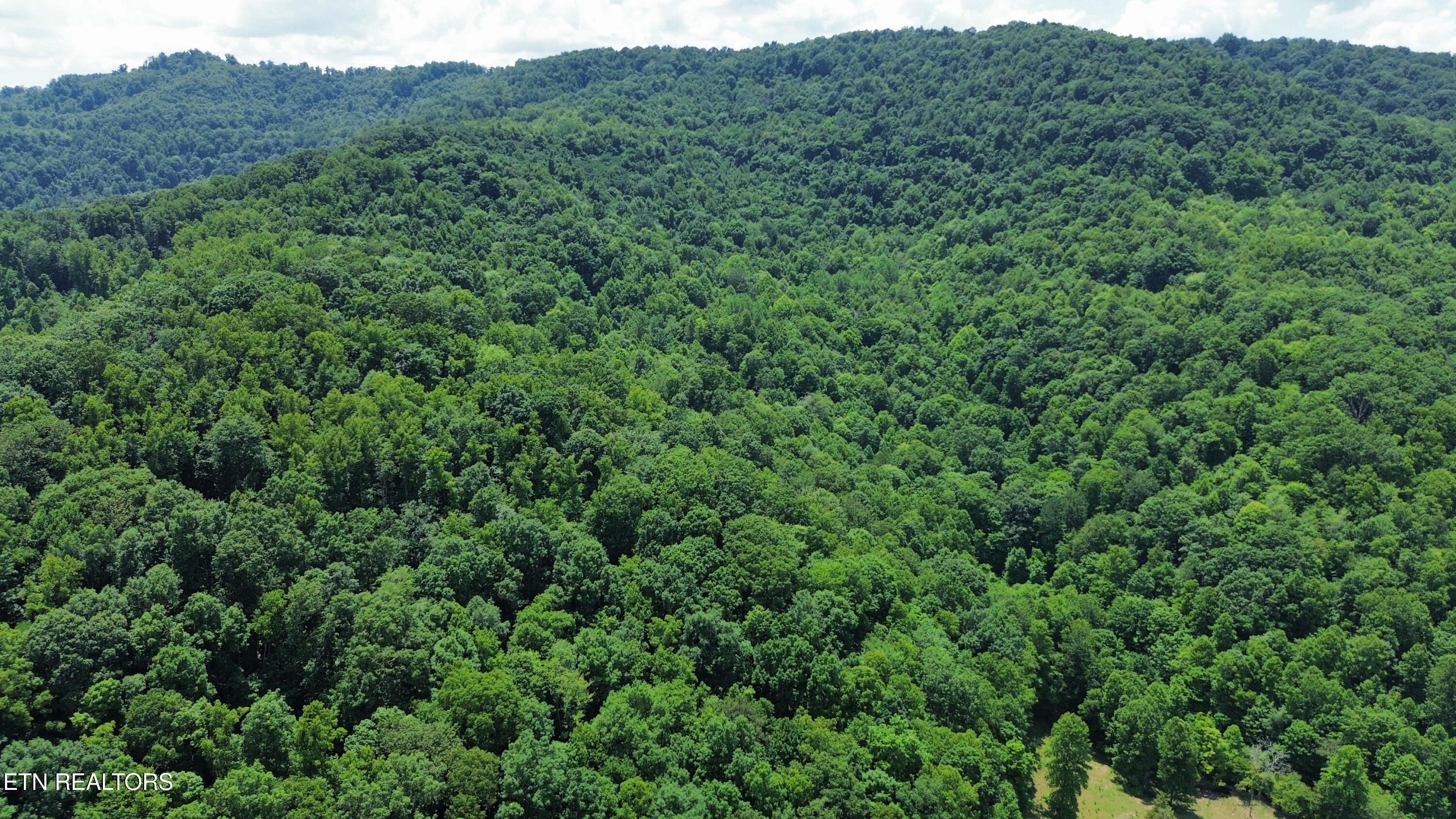 0000 Lick Creek Lane Lafollette TN 37766
