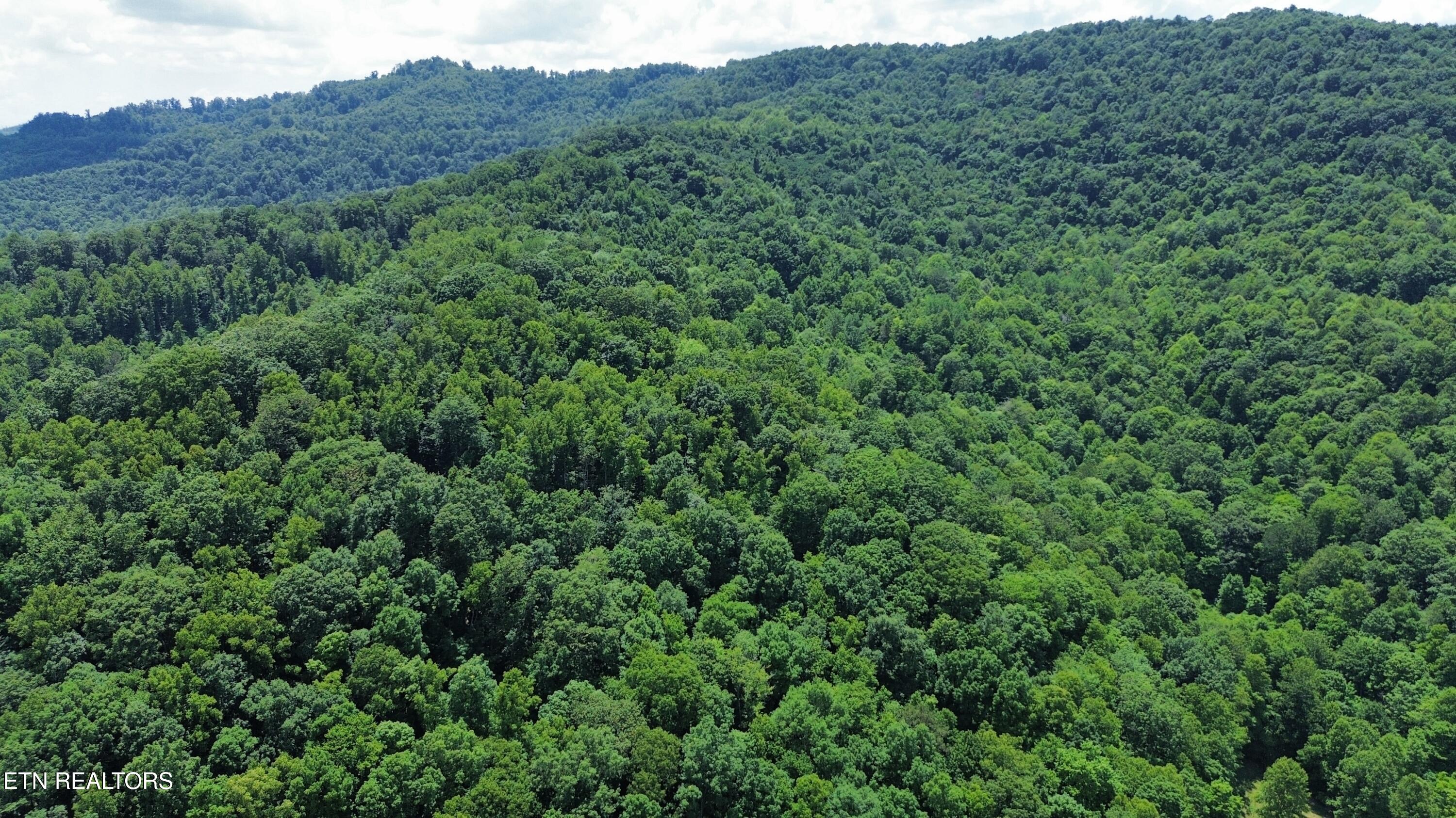 0000 Lick Creek Lane Lafollette TN 37766