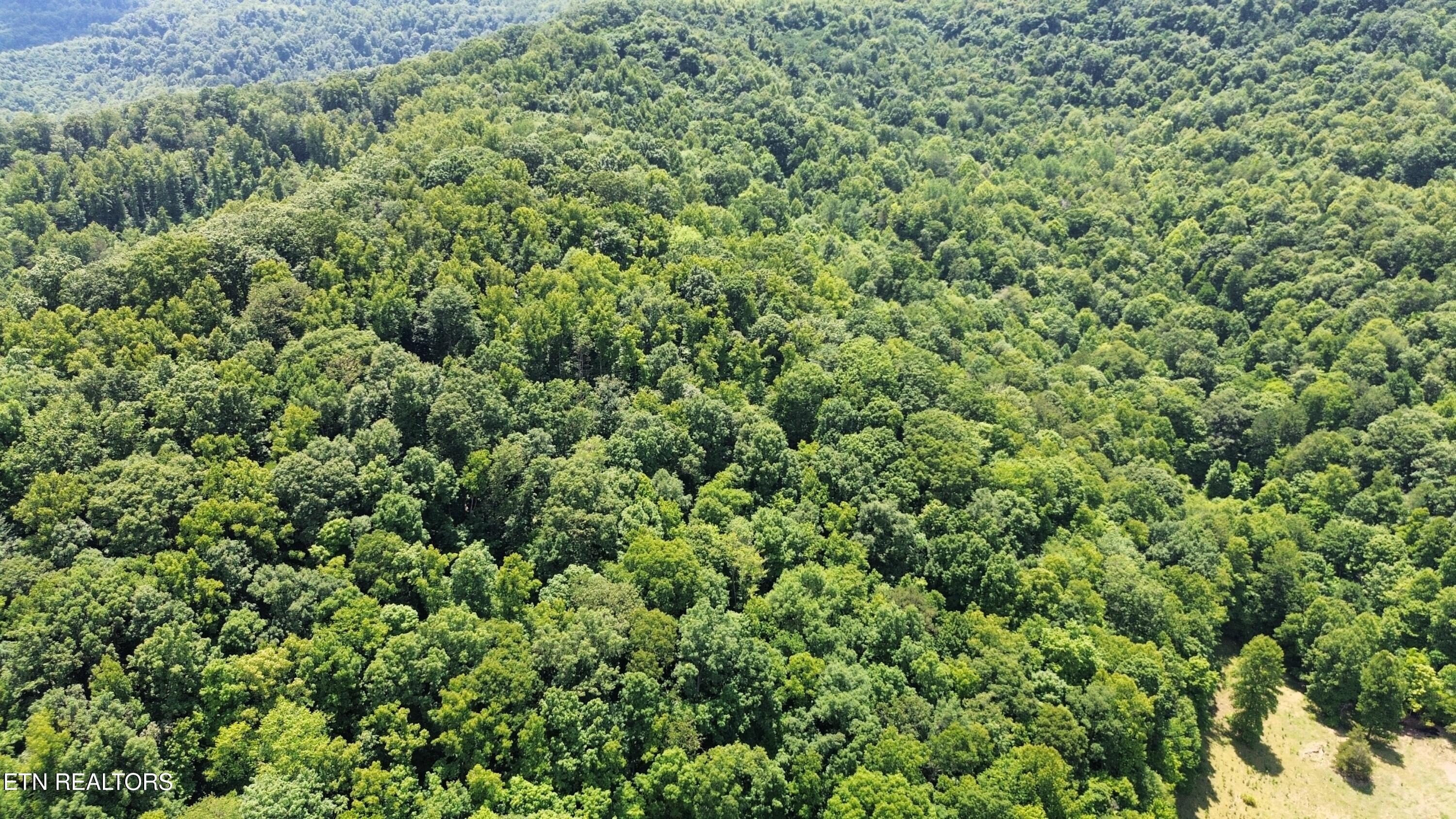 0000 Lick Creek Lane Lafollette TN 37766