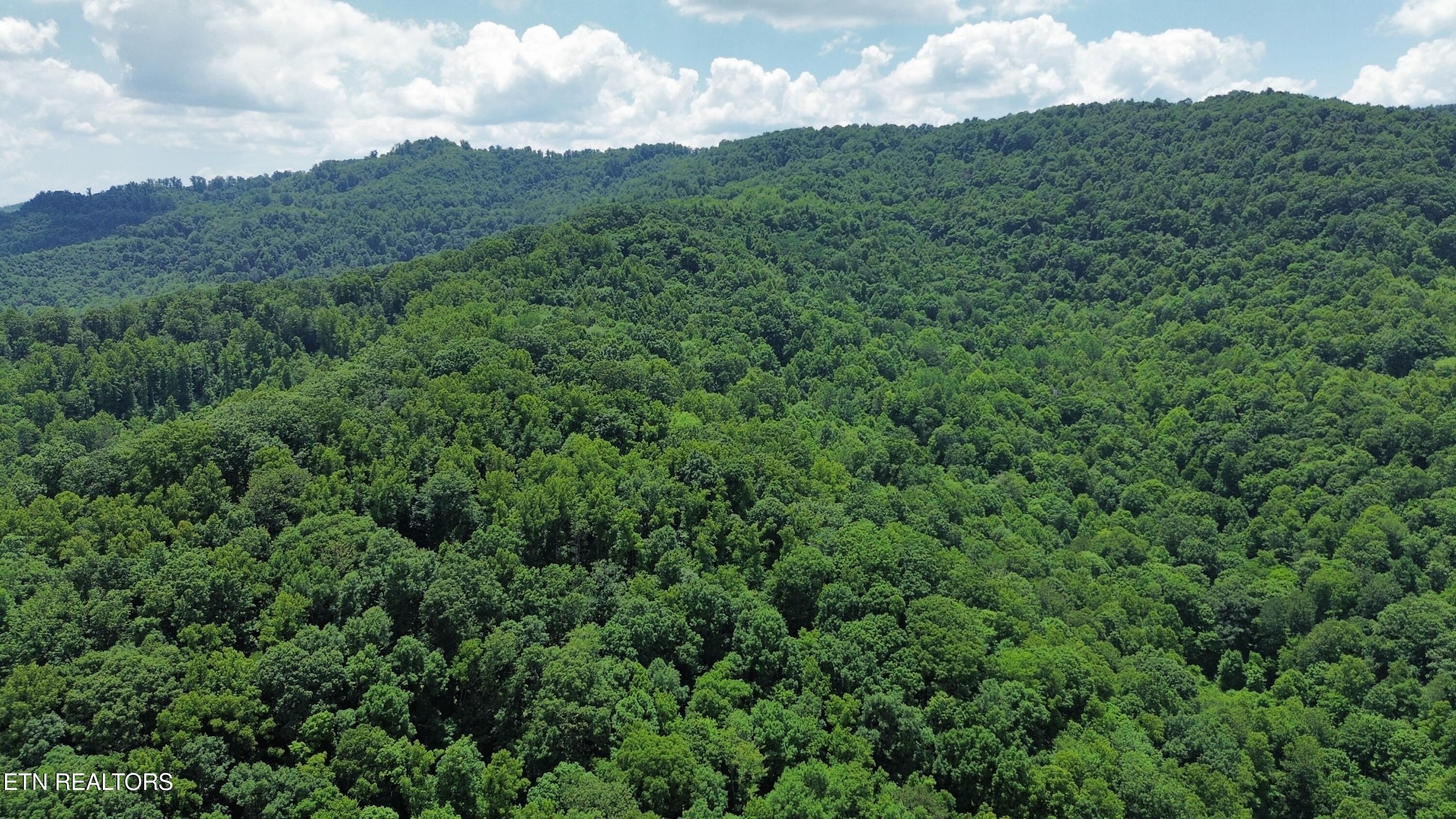 0000 Lick Creek Lane Lafollette TN 37766