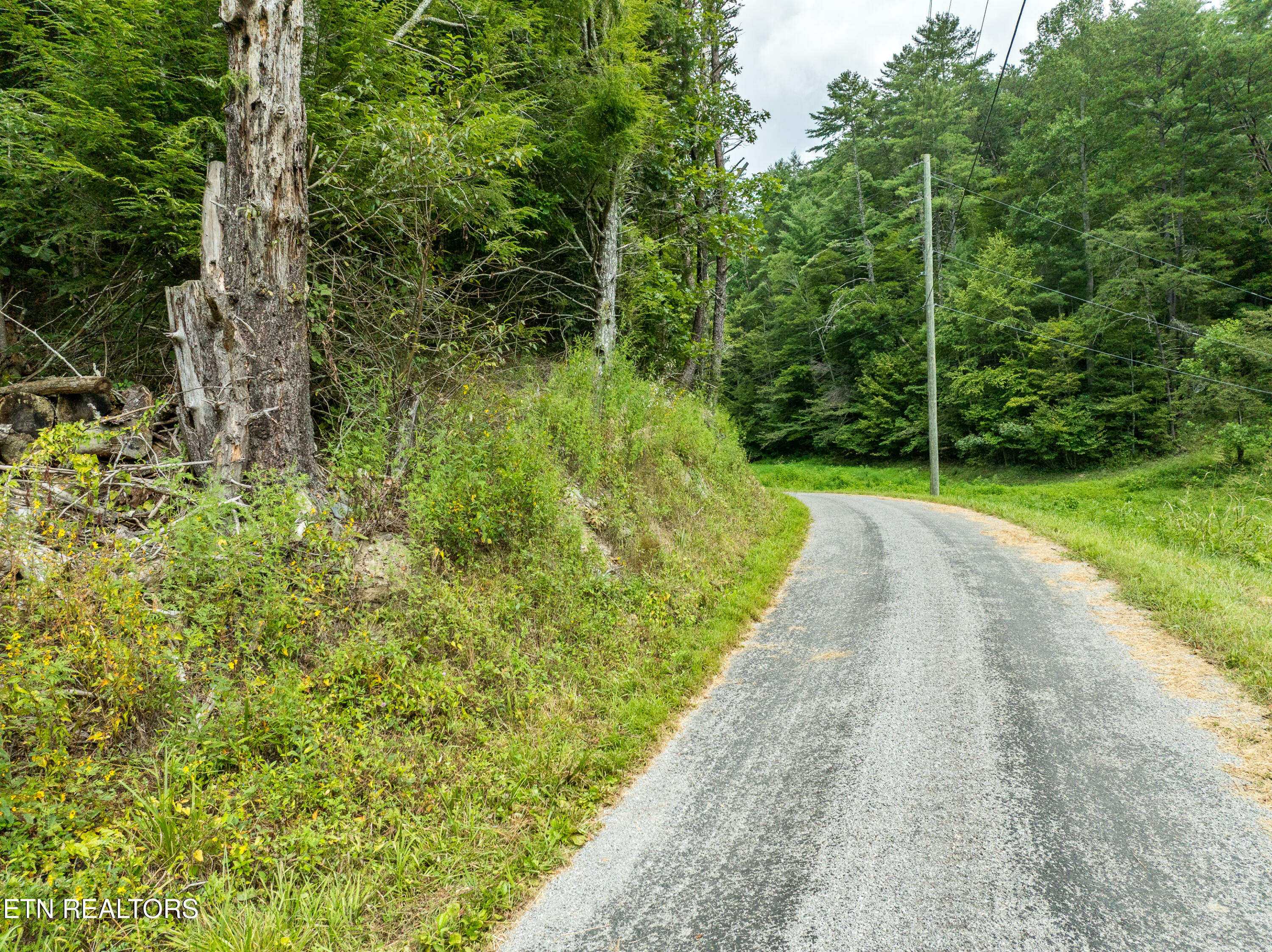 288 Oosterneck Road Tellico Plains TN 37385
