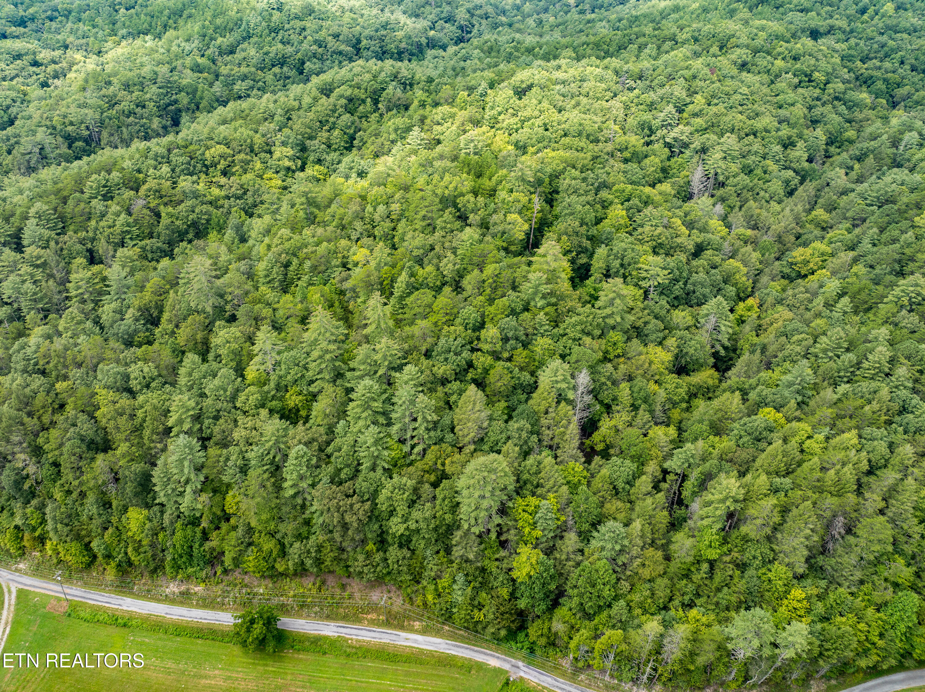288 Oosterneck Road Tellico Plains TN 37385