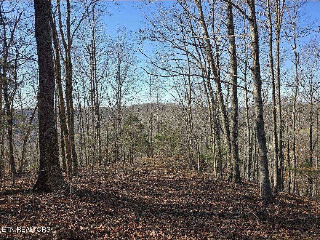 0 Maberry Lane Cookeville TN 38501