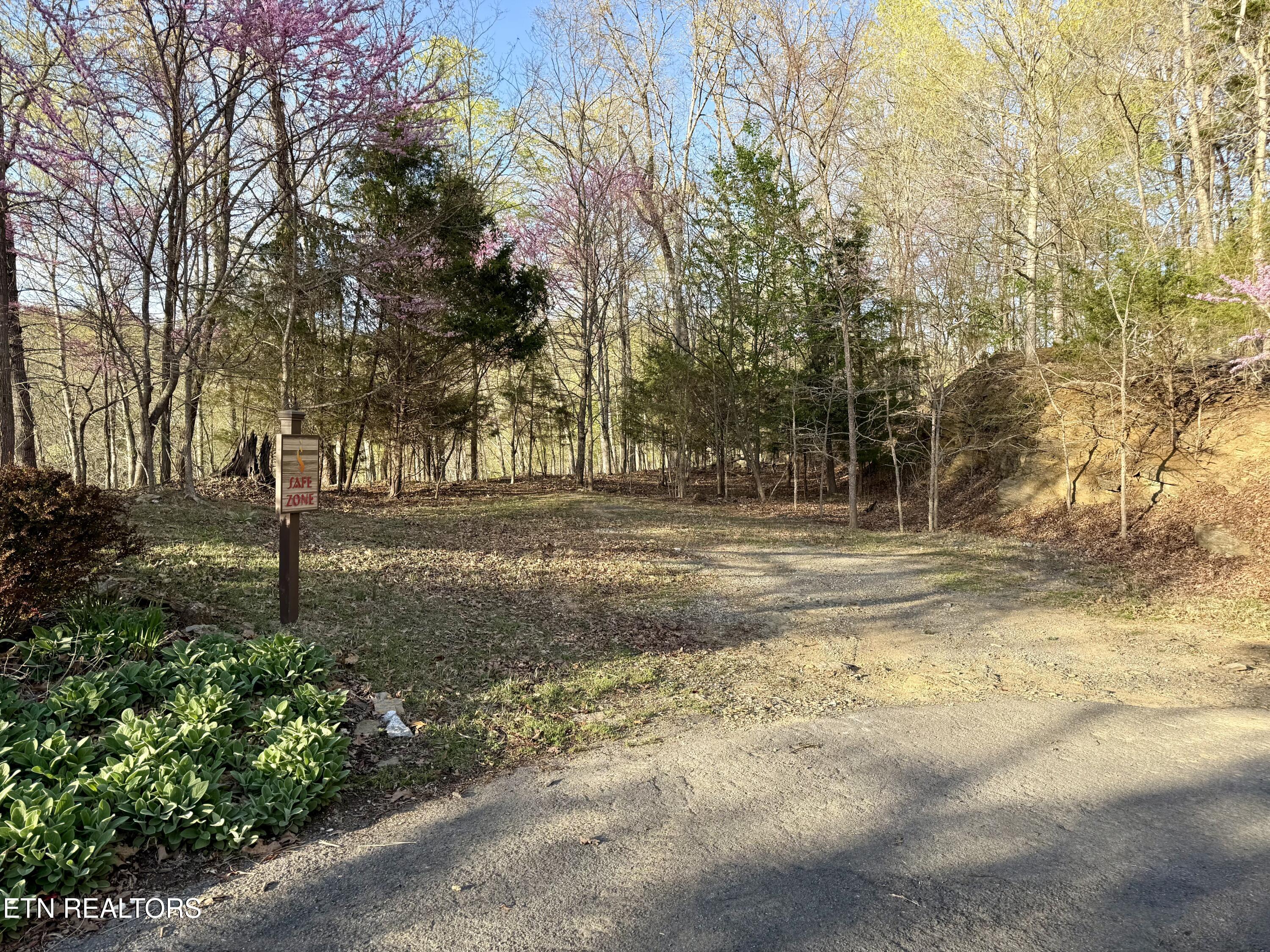 Kahiti Court Mooresburg TN 37811
