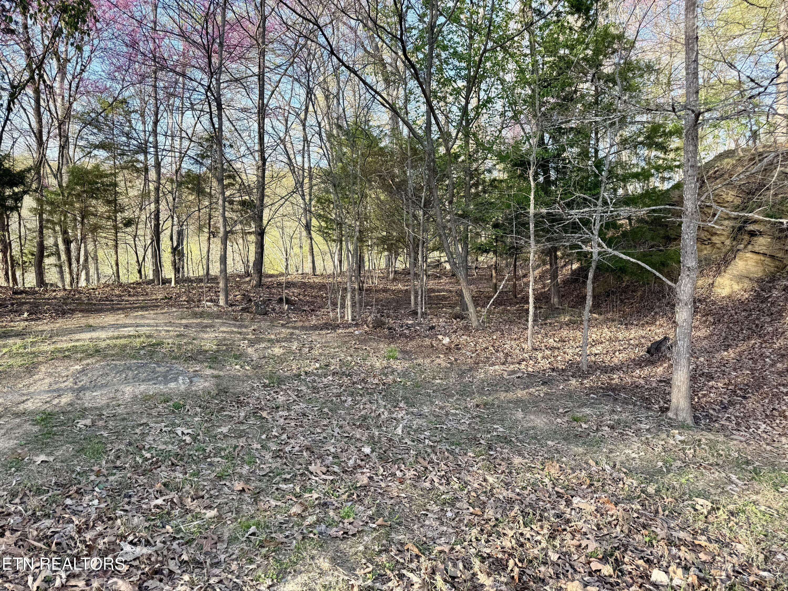 Kahiti Court Mooresburg TN 37811