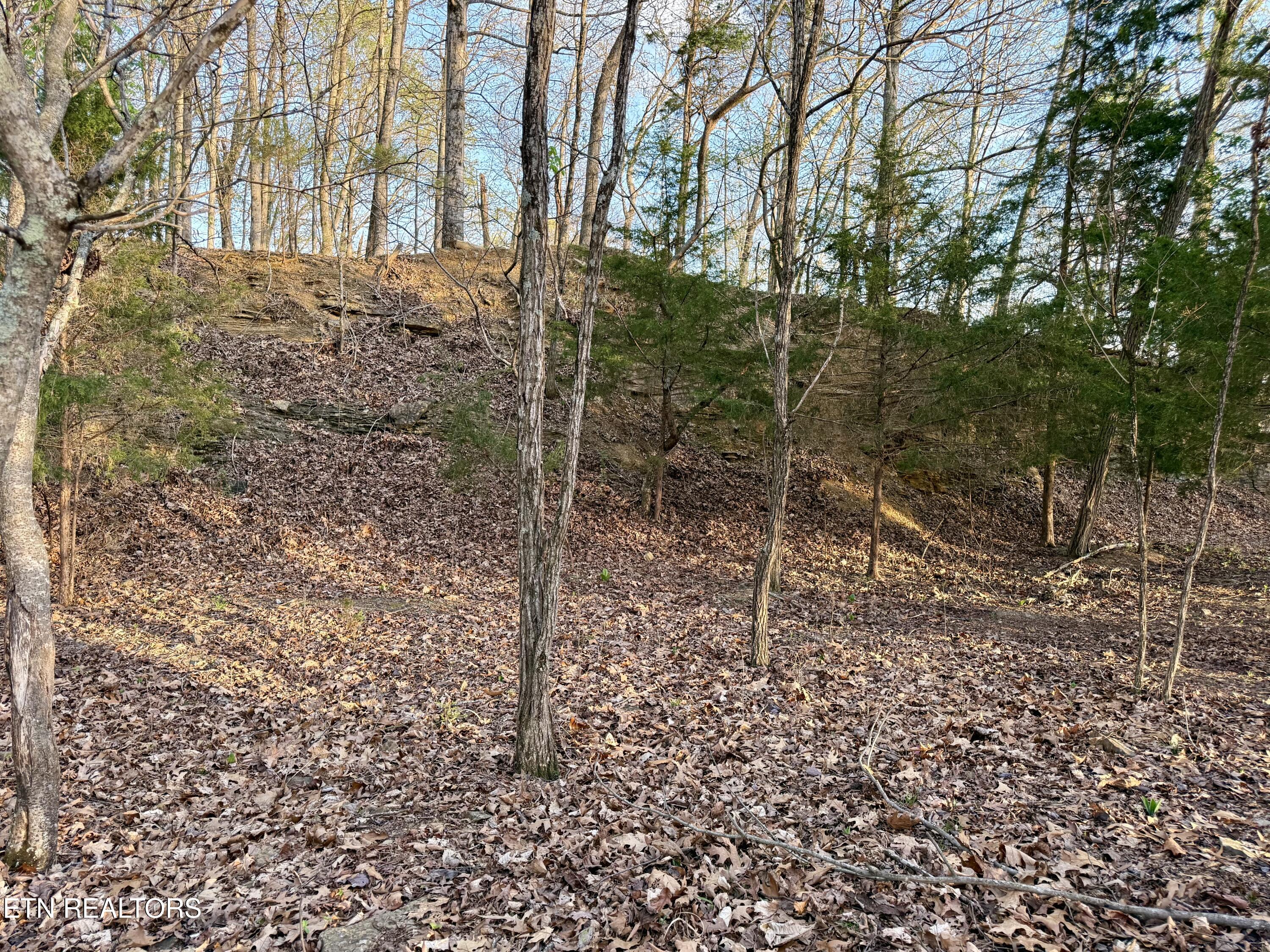 Kahiti Court Mooresburg TN 37811