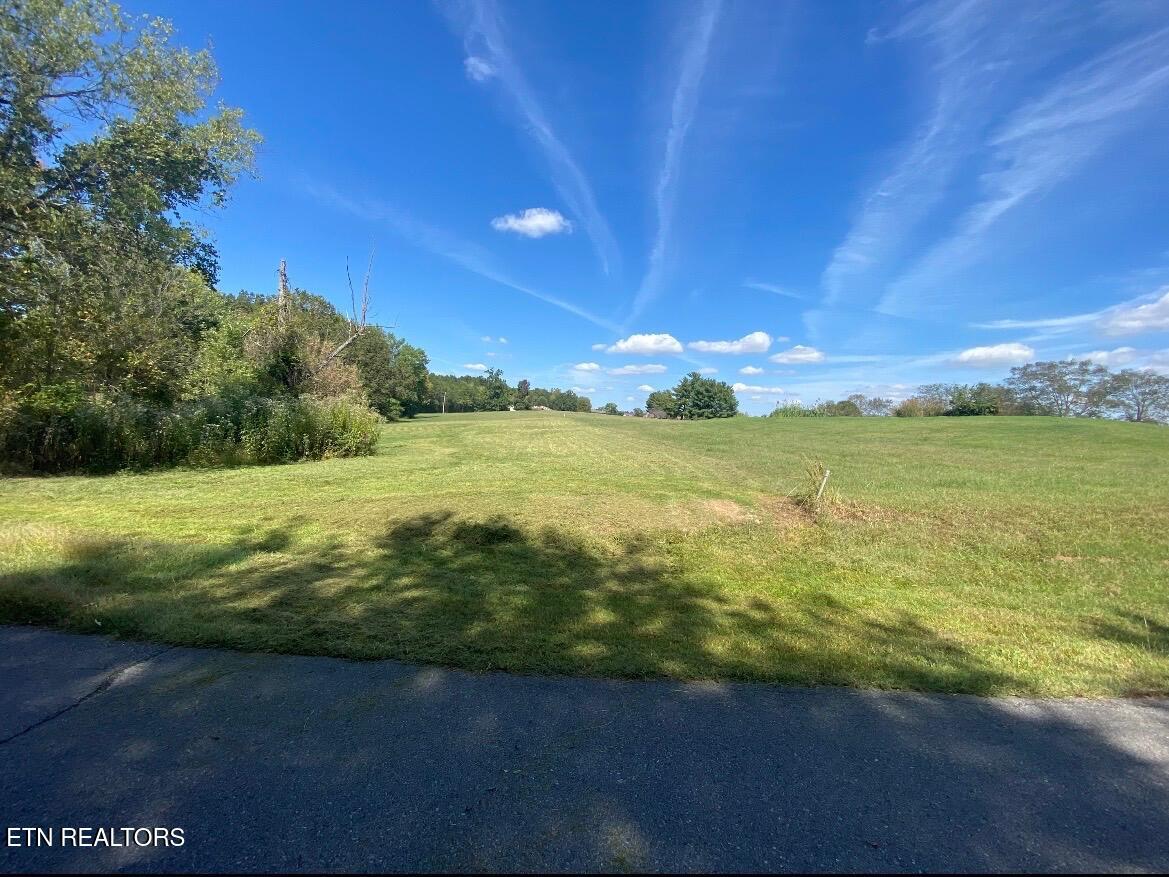 Mountain View Lane Baneberry TN 37890