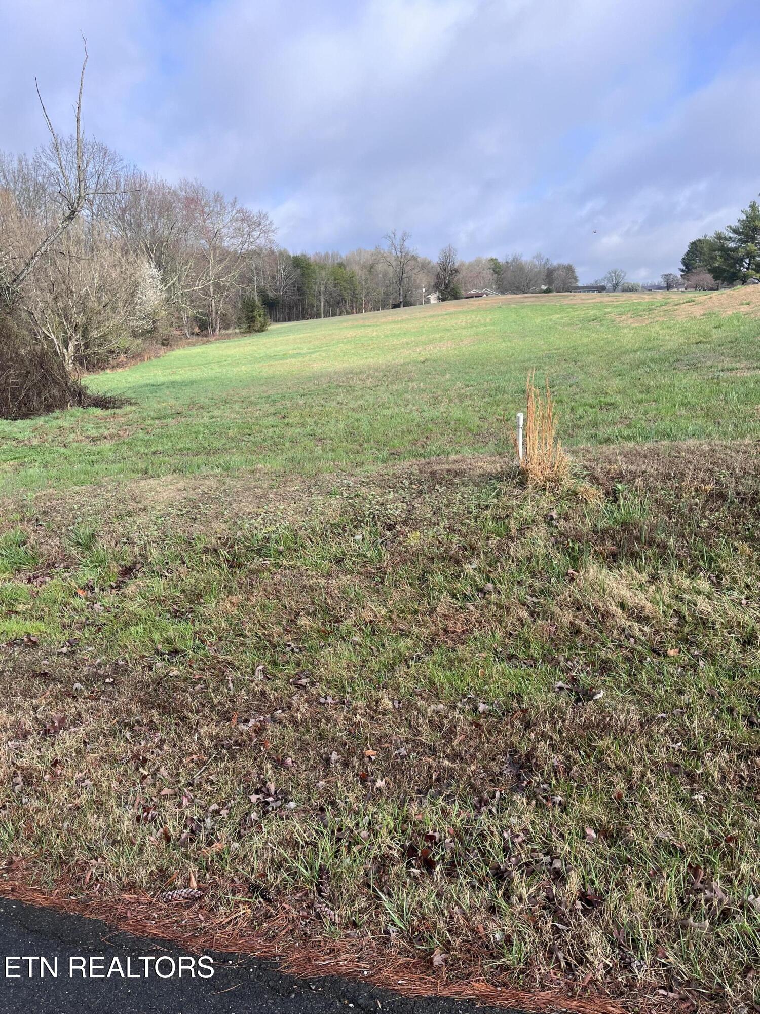 Mountain View Lane Baneberry TN 37890