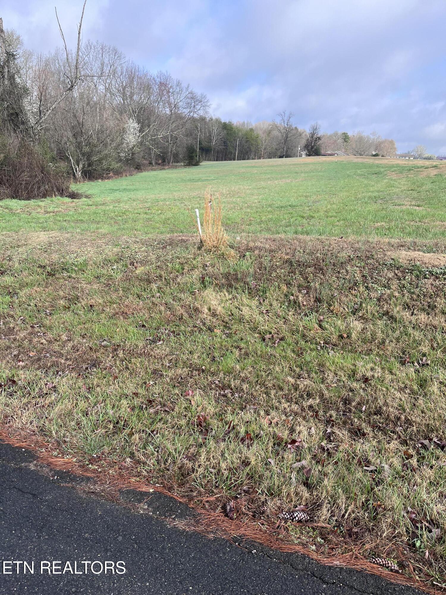 Mountain View Lane Baneberry TN 37890