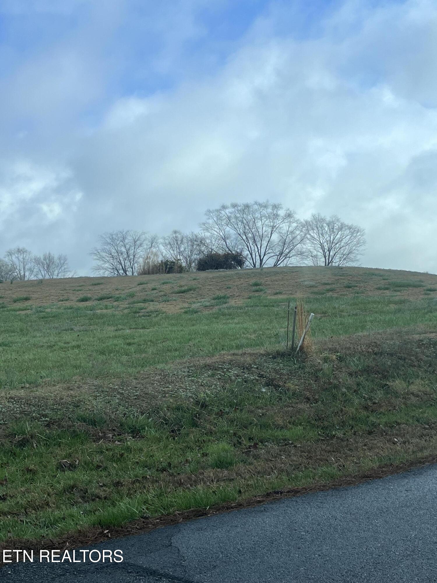 Mountain View Lane Baneberry TN 37890