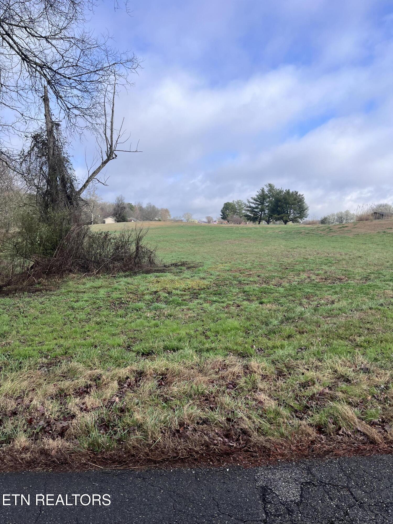 Mountain View Lane Baneberry TN 37890