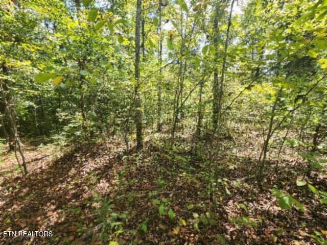 16.22AC Glenobey Road Jamestown TN 38556