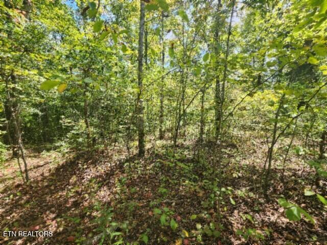 16.22AC Glenobey Road Jamestown TN 38556