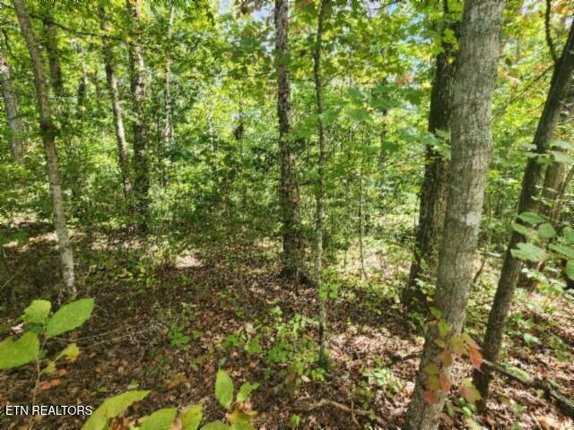 16.22AC Glenobey Road Jamestown TN 38556