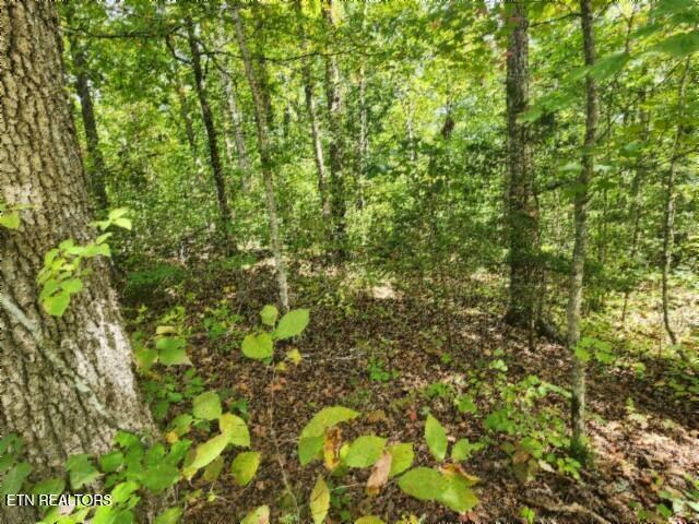 16.22AC Glenobey Road Jamestown TN 38556