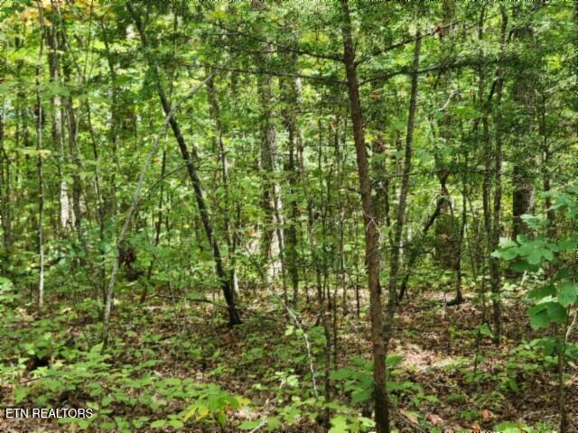 16.22AC Glenobey Road Jamestown TN 38556