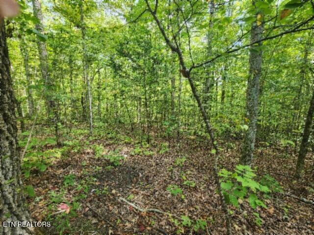 16.22AC Glenobey Road Jamestown TN 38556