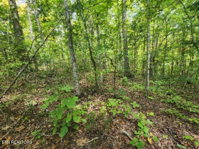 16.22AC Glenobey Road Jamestown TN 38556
