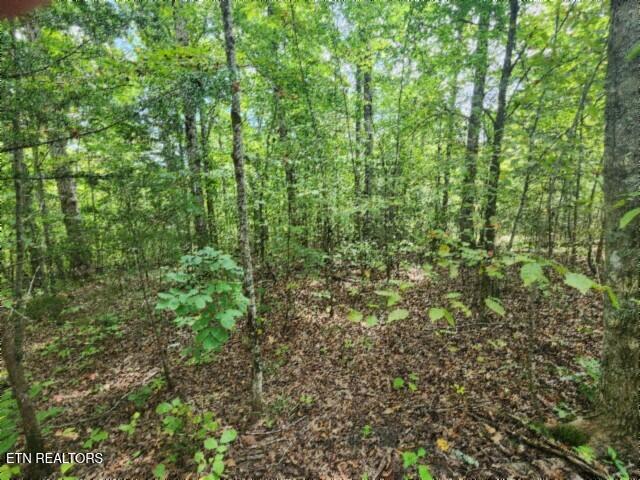 16.22AC Glenobey Road Jamestown TN 38556