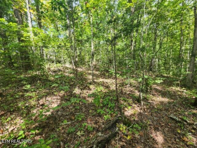 16.22AC Glenobey Road Jamestown TN 38556