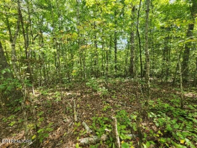 16.22AC Glenobey Road Jamestown TN 38556