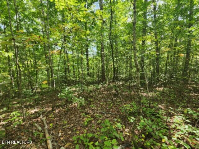 16.22AC Glenobey Road Jamestown TN 38556